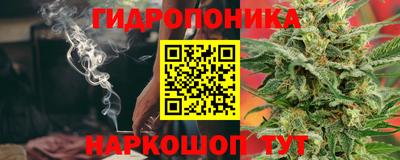 сатива Бузулук