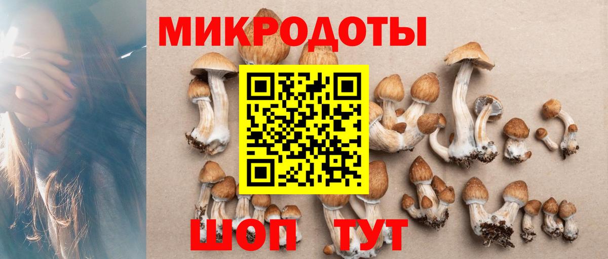 Псилоцибиновые грибы мухоморы Лобня