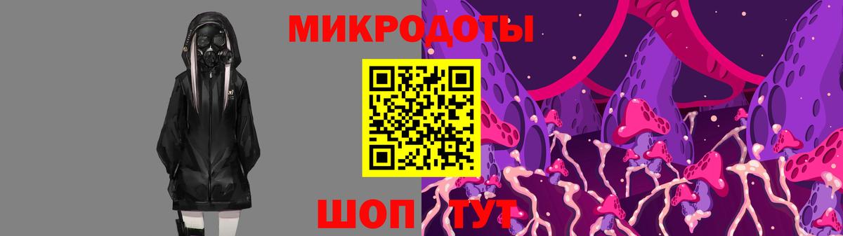 Лобня  Псилоцибиновые грибы Cubensis  Псилоцибиновые грибы прущие грибы  наркотики  Вход с VPN 